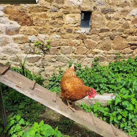 Ferienhaus En Campagne A 30 Min De La *